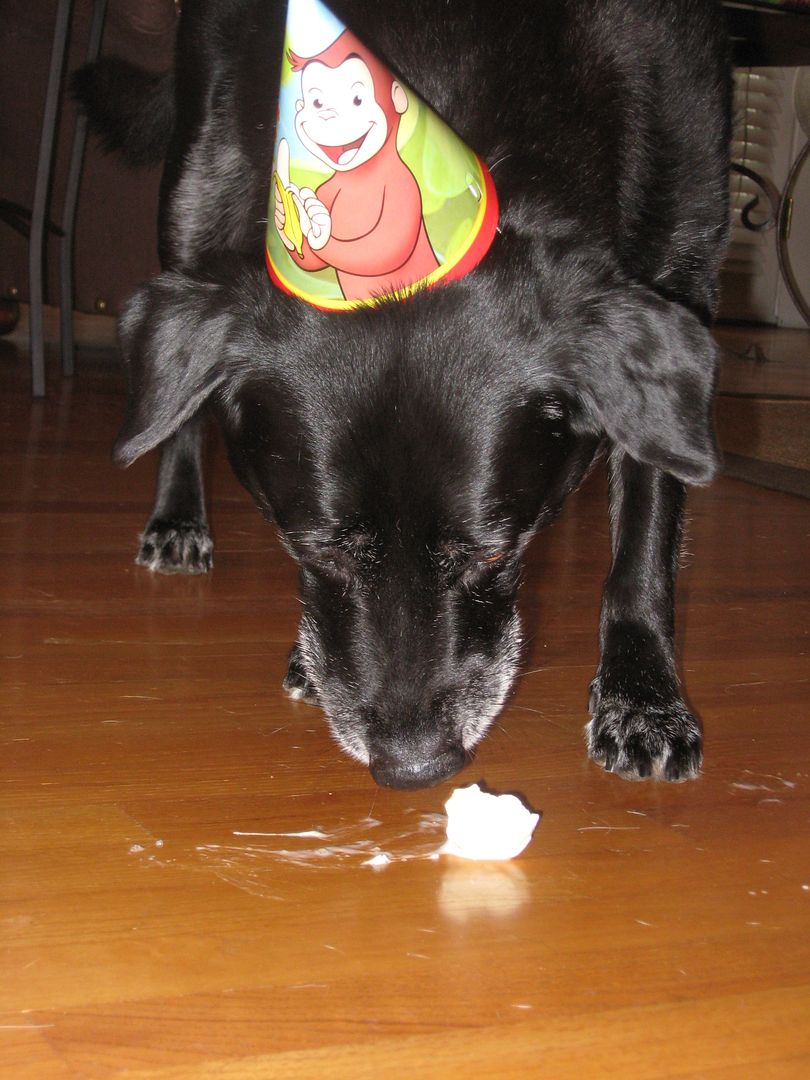 Buddy likes his ice cream birthday party!