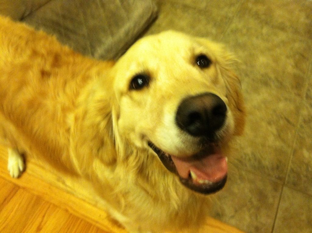 Bailey is smiling!