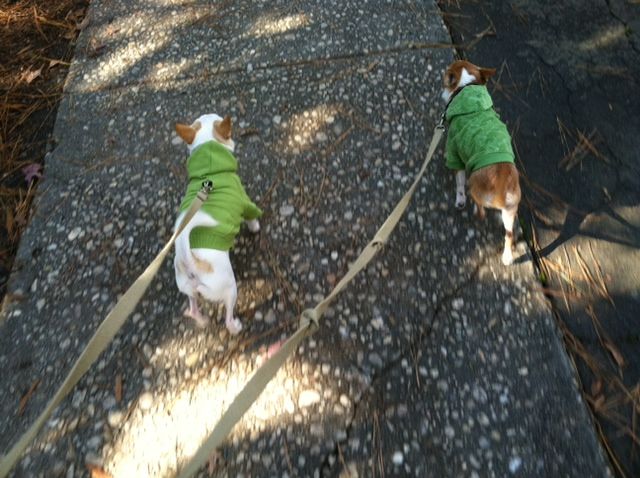 Alex and George in their matching green sweaters!!