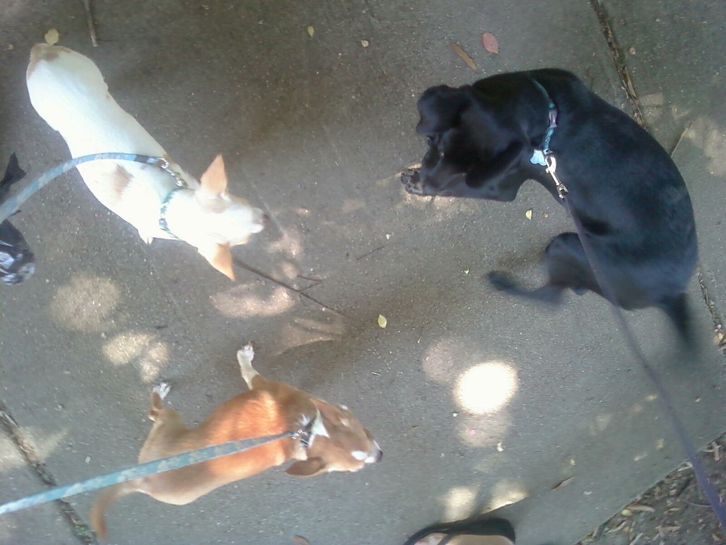 Alex, George and Virginia meeting for the first time today.