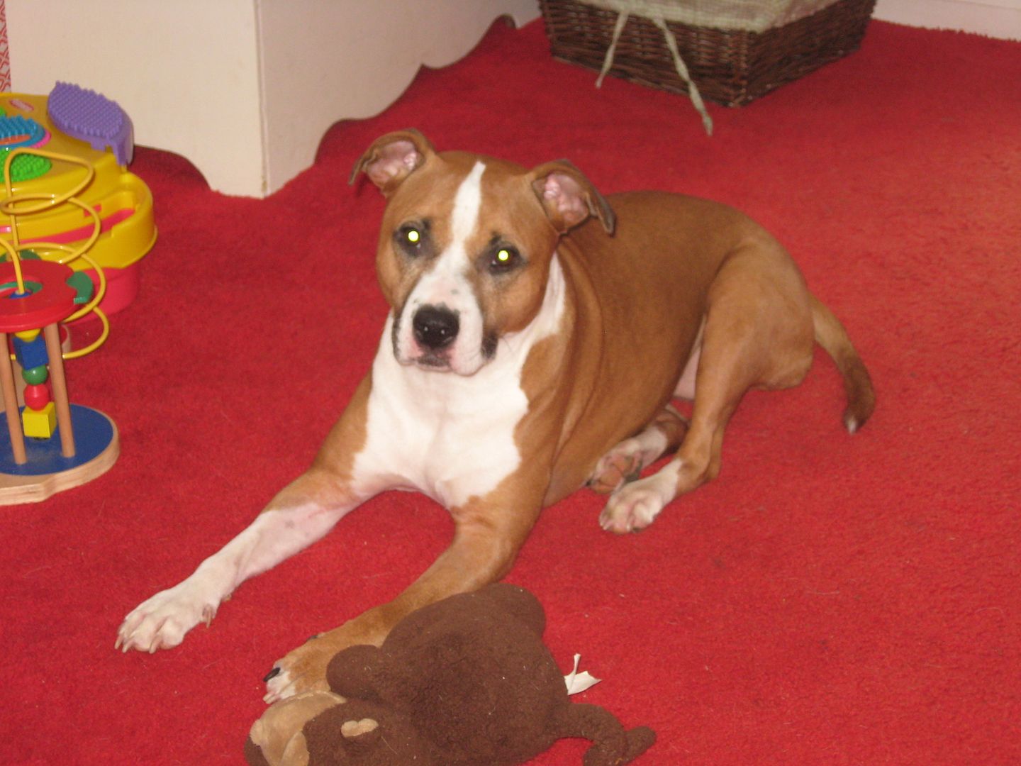 Peyton is hanging out in the toy room.