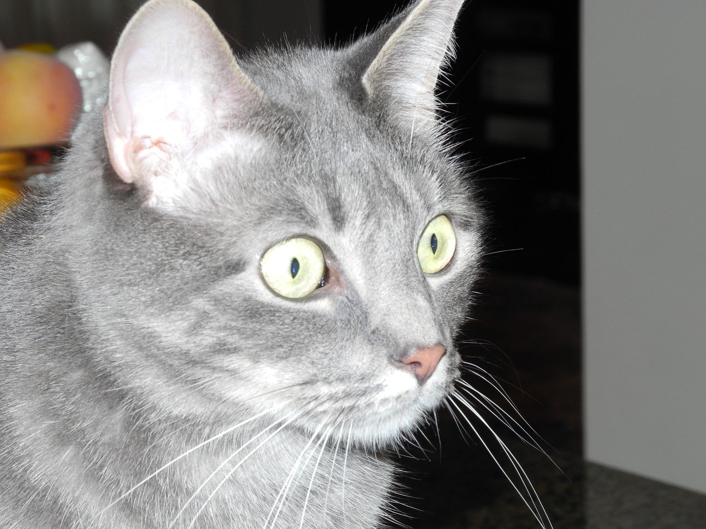 Cloud either sees or hears some birds outside.  Can you tell?  :)