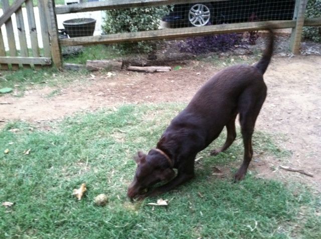 Cooper got in some playing time this morning.