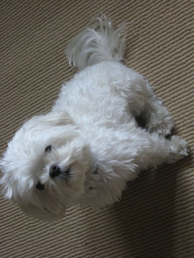 and I think this is Yuki... :)