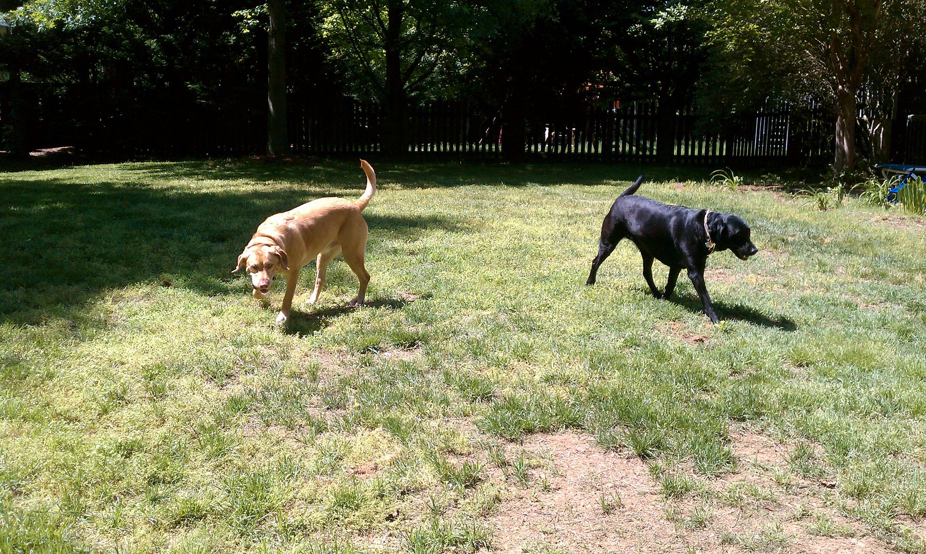 I think Winters and Nixon are enjoying their time outside with Laura!