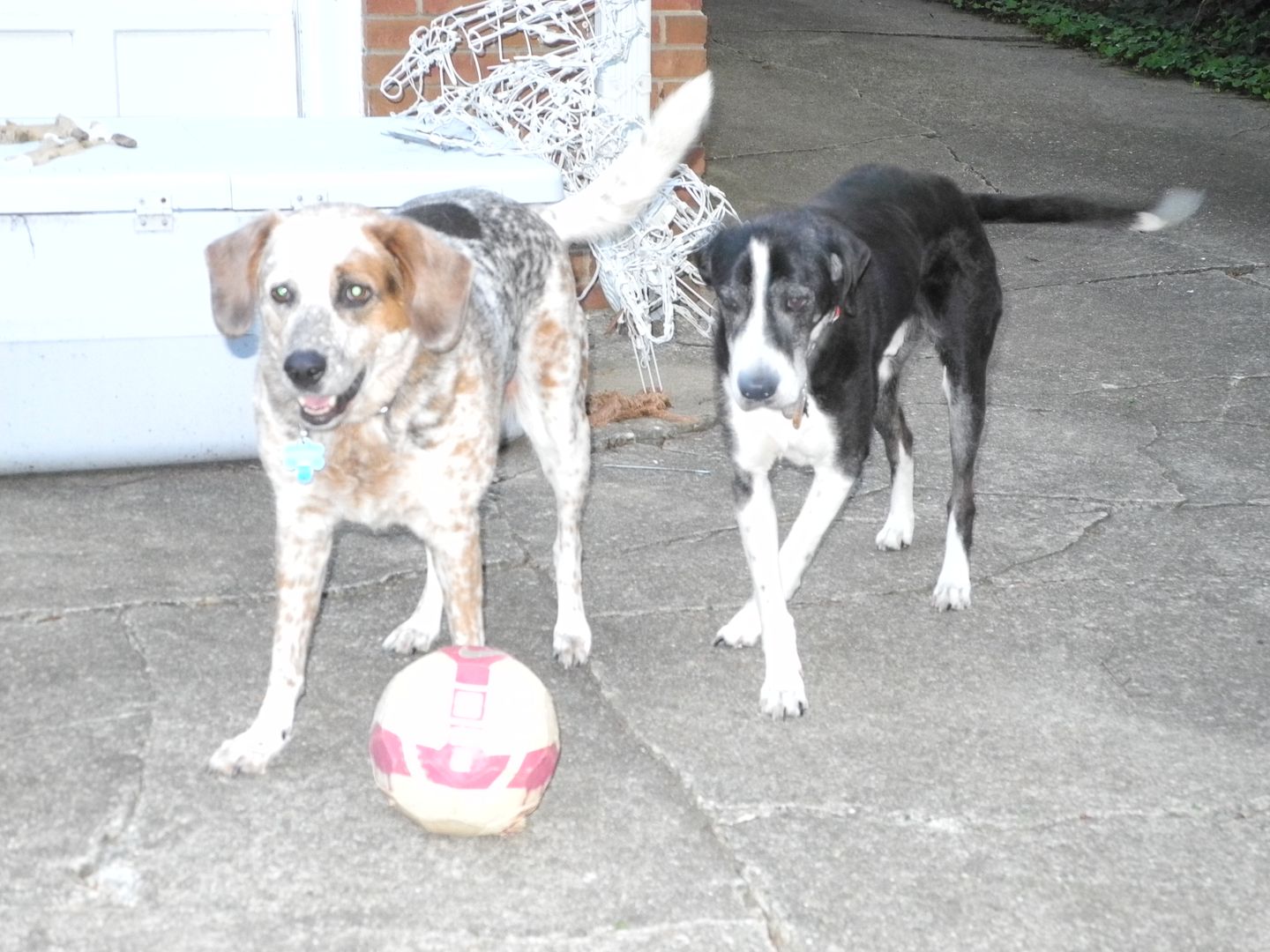 Sadie has been playing soccer.  Zack has been a spectator.