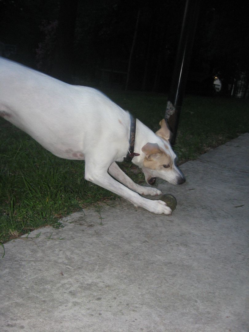 Jay in action, playing soccer!