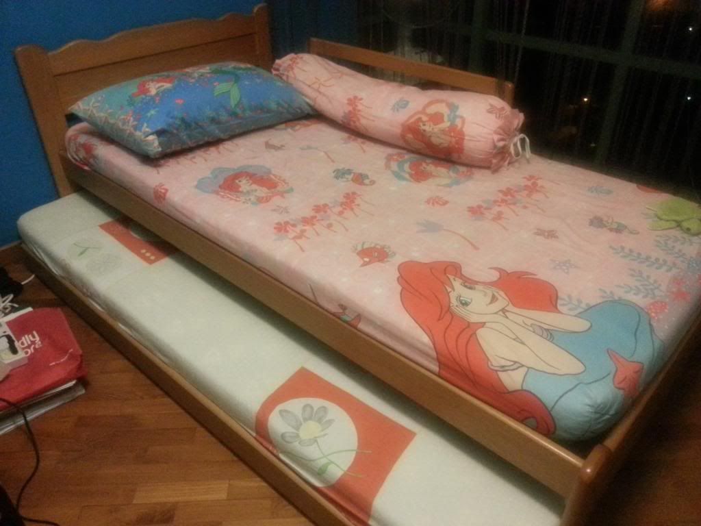 PulloutBedwithmattresses2.jpg