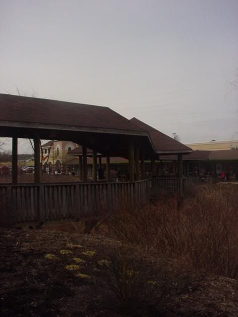 IMAGE: http://i845.photobucket.com/albums/ab12/TravelingWoman18/l_2681cdf5b5ce440c96252055df9c9ce8.jpg