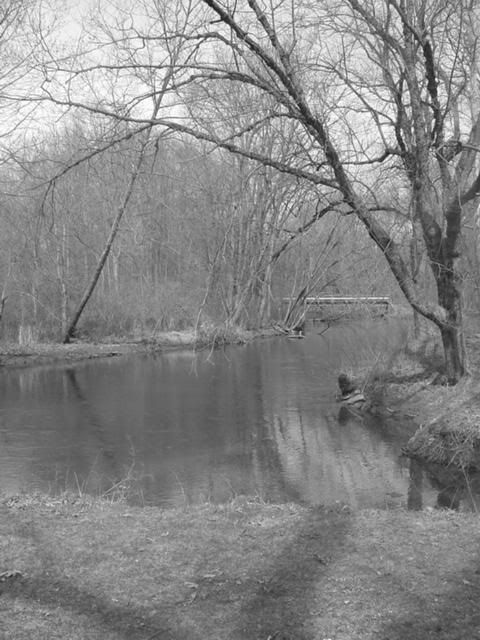 IMAGE: http://i845.photobucket.com/albums/ab12/TravelingWoman18/l_2a2032de97df4ae79200836855881d6b.jpg