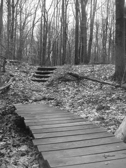 IMAGE: http://i845.photobucket.com/albums/ab12/TravelingWoman18/l_36238520c6dd4f018a027b81c4230135.jpg