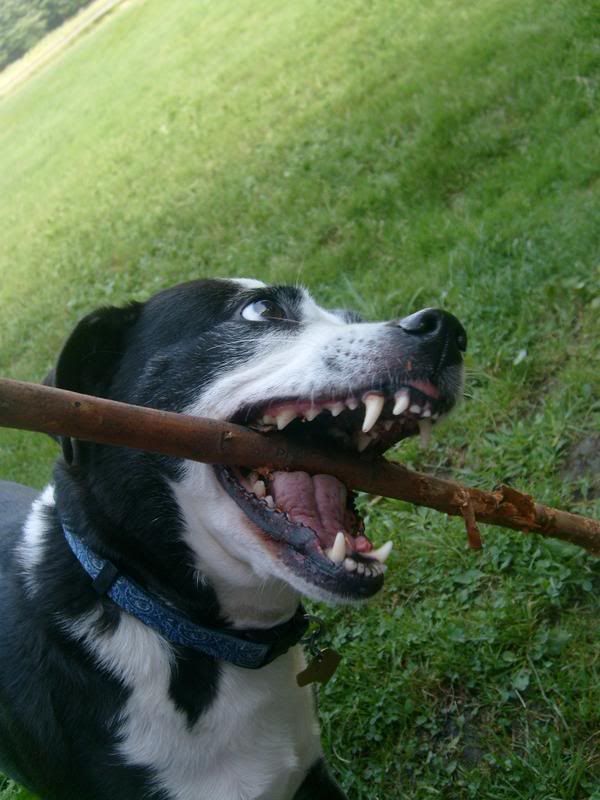 IMAGE: http://i845.photobucket.com/albums/ab12/TravelingWoman18/pref1.jpg