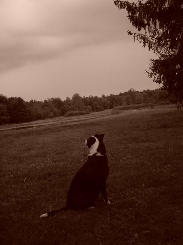 IMAGE: http://i845.photobucket.com/albums/ab12/TravelingWoman18/pref2.jpg