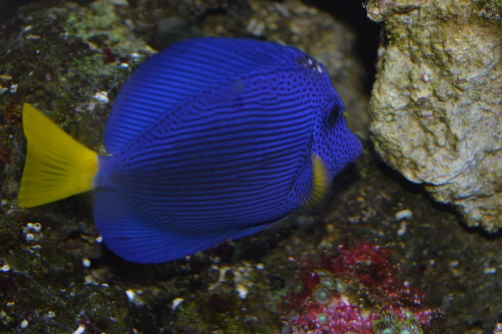 DSC_0856.jpg