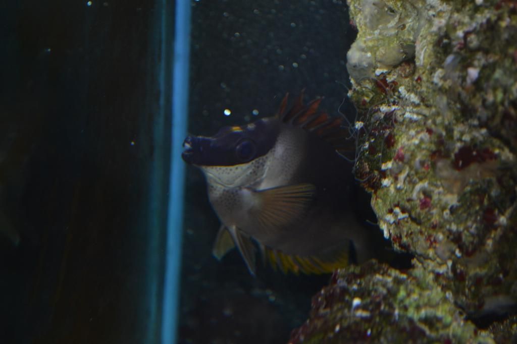 DSC_0857.jpg