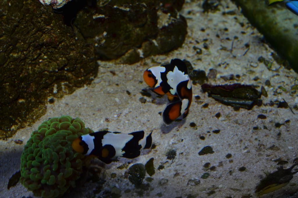 DSC_0860.jpg