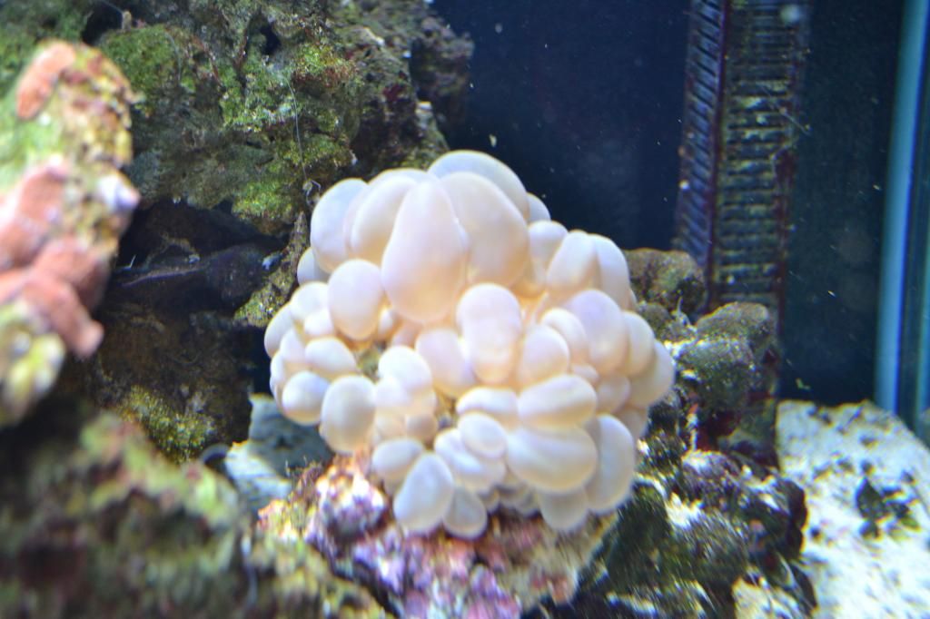 DSC_0861.jpg