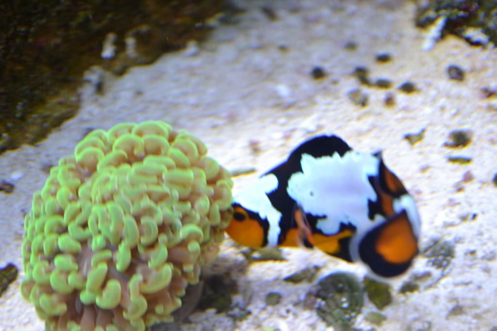DSC_0863.jpg
