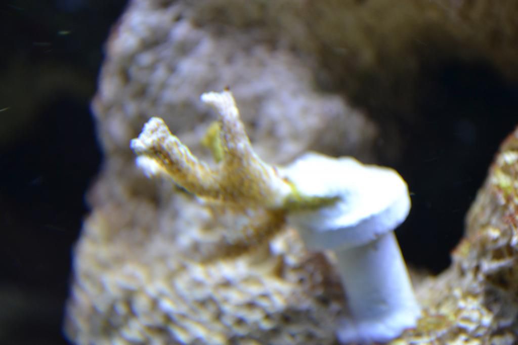 DSC_0865.jpg