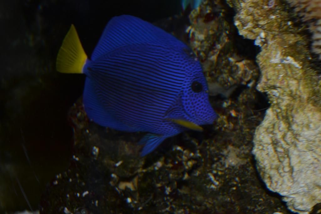 DSC_0867.jpg
