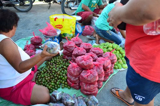  photo Siniguelas-vendor-2-.jpg