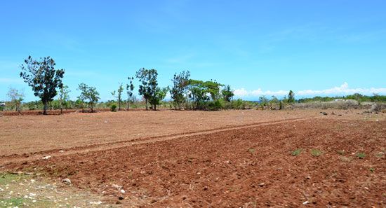  photo summer-field-in-Siquijor.jpg