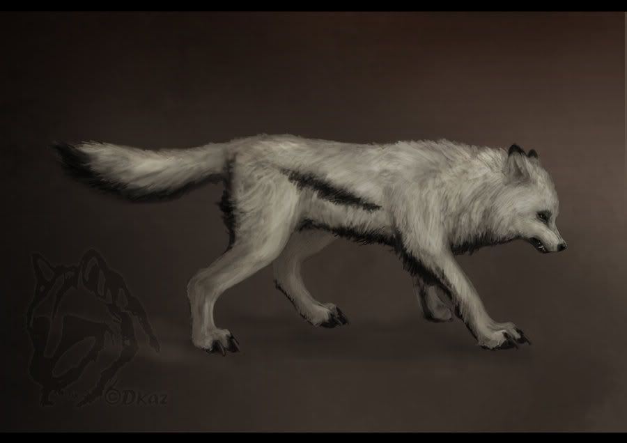lobos lobos