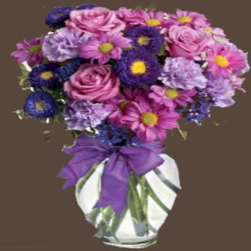Assorthed Purple Flowers Pictures, Images and Photos