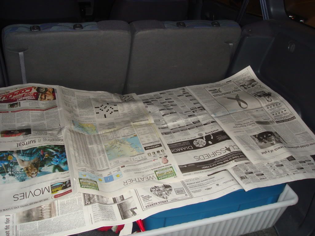 Preview image for a collapsed post.