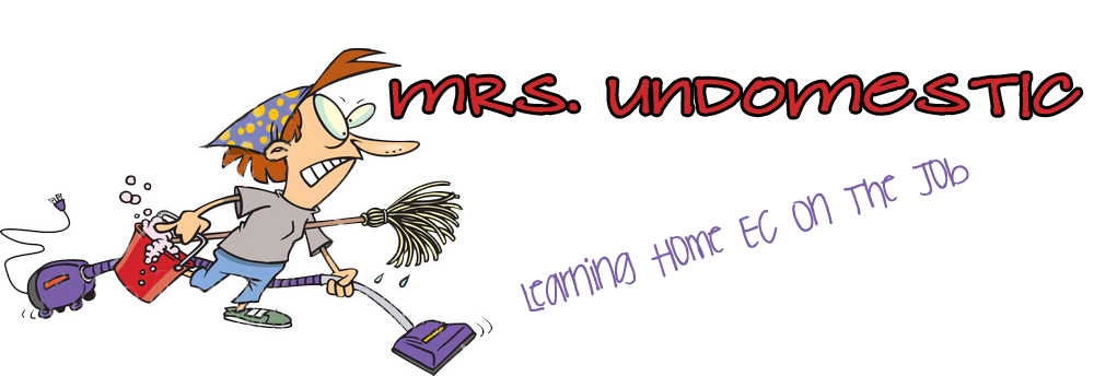 Mrs. Undomestic