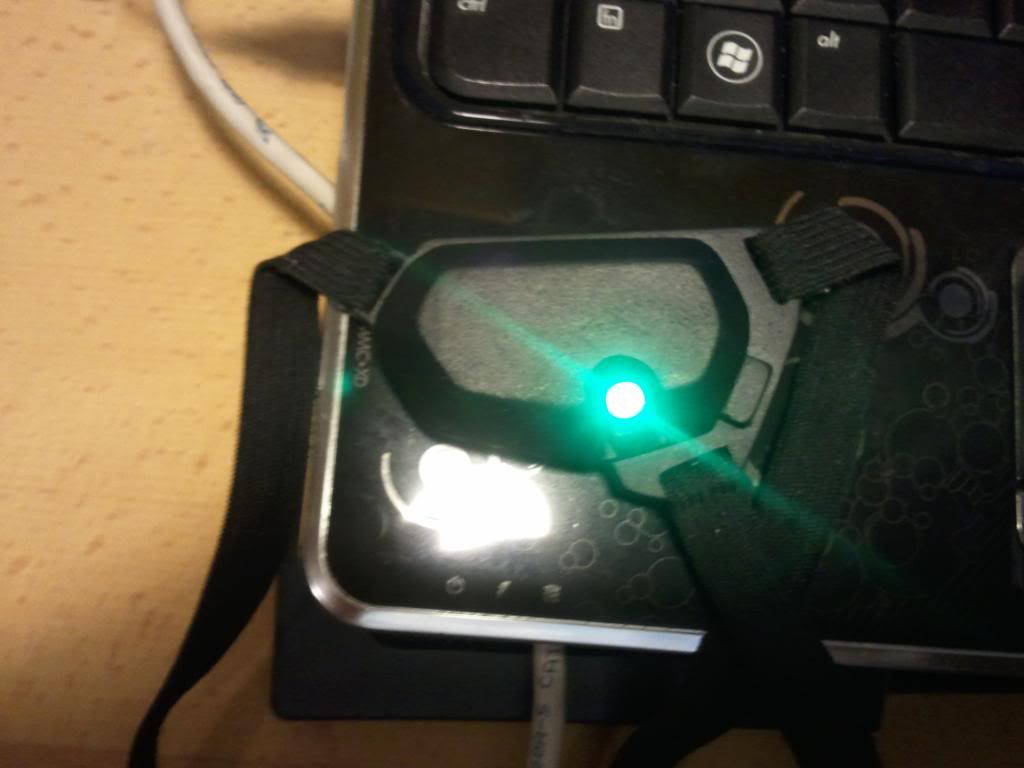 2011-08-23211657.jpg