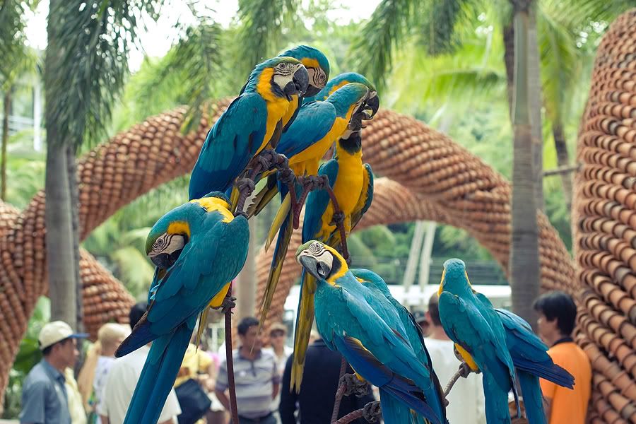 Re: Фотоохота, зоопарки и просто животинки из путешествий