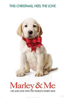 marley and me Pictures, Images and Photos