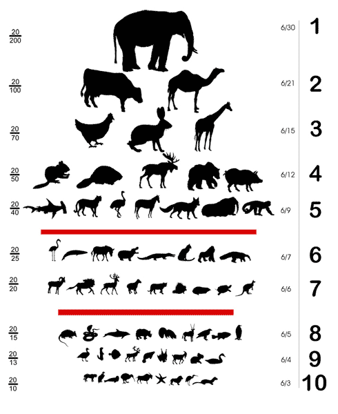 Animal Speed Chart