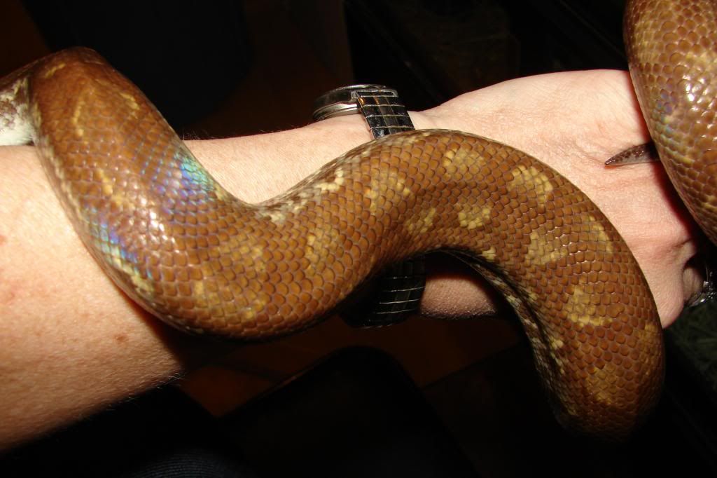 DSC09999_zpsde6727da.jpg