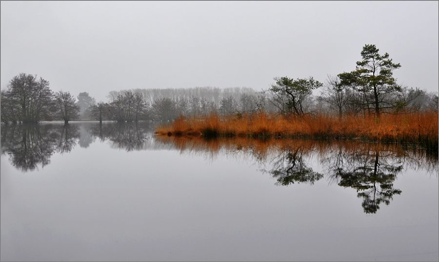 Fotografie