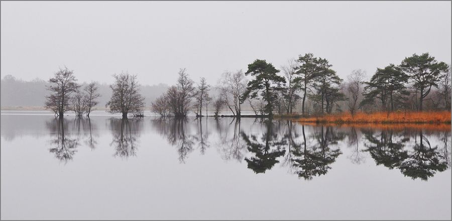 Fotografie