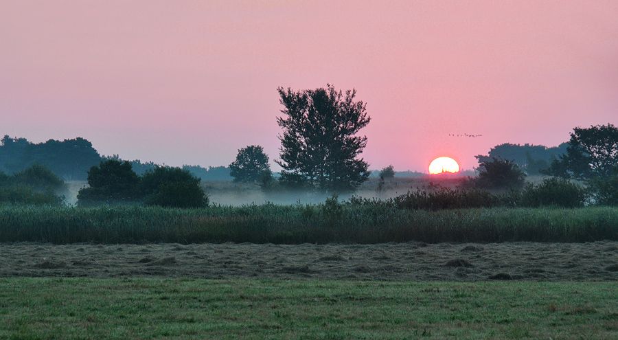 Fotografie