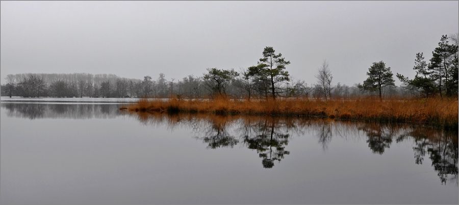 Fotografie