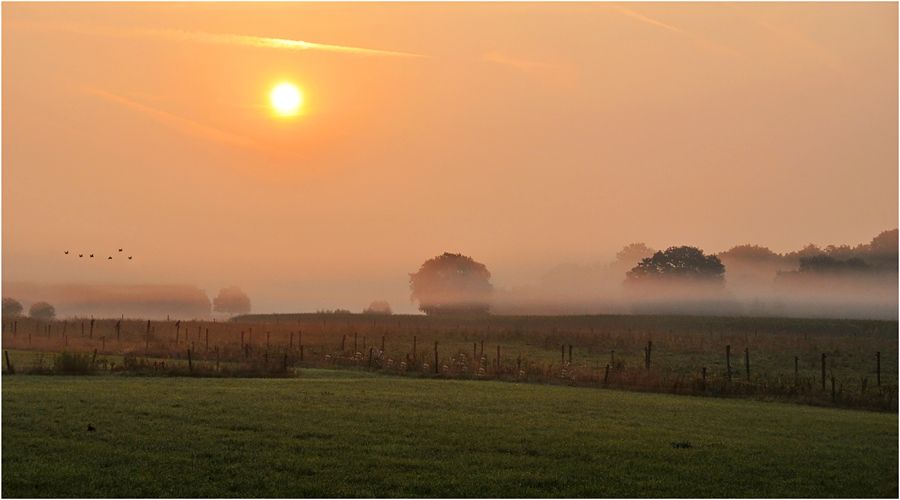 Fotografie