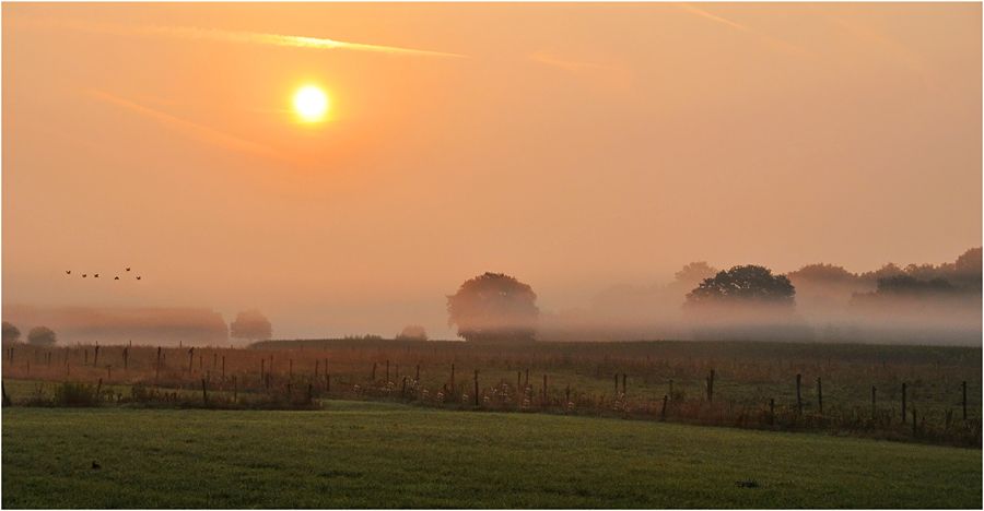 Fotografie