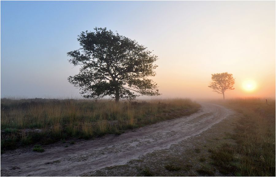 Fotografie