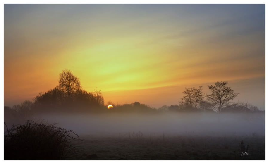 Fotografie