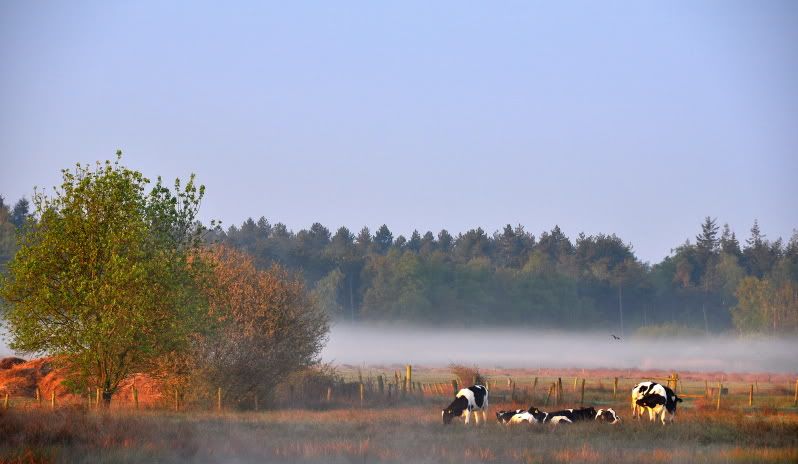 Fotografie