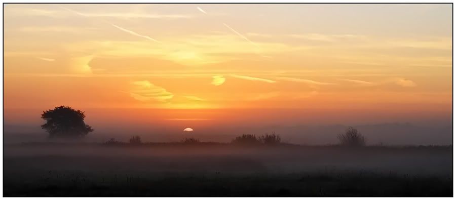 Fotografie