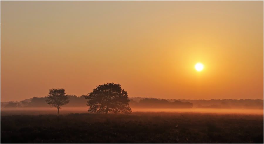Fotografie