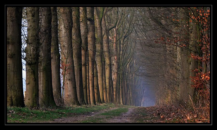 Fotografie