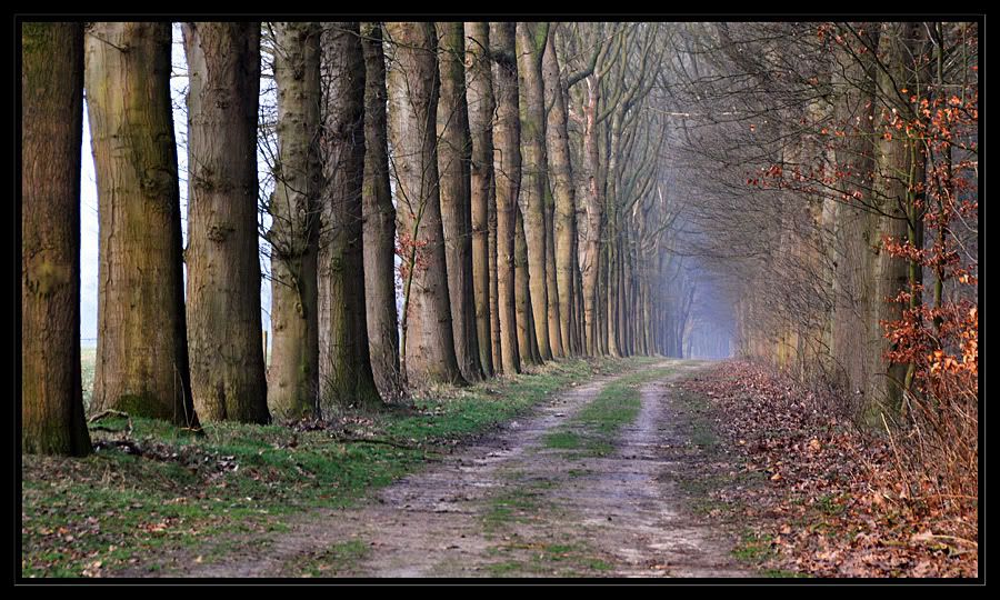Fotografie