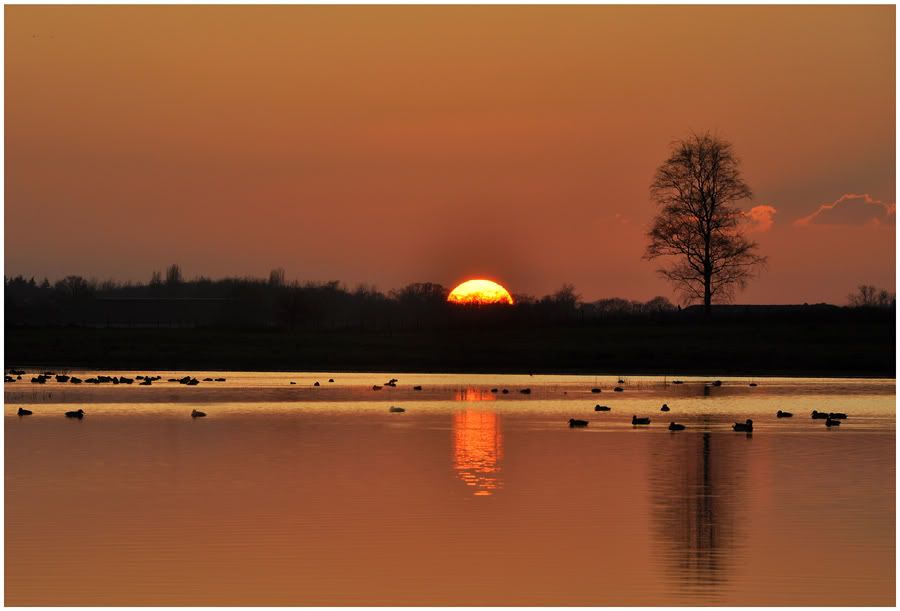 Fotografie