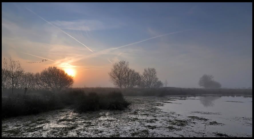 Fotografie